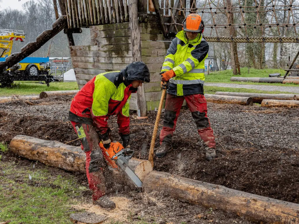 Branching Out with Bargains: How to Negotiate Tree Service Prices in Dallas 1 How to Negotiate Tree Service Prices in Dallas