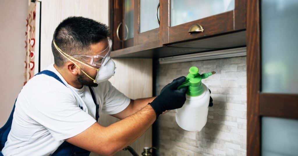 Affordable Pest Control Dallas: Keeping Pests at Bay 10 affordable pest control dallas