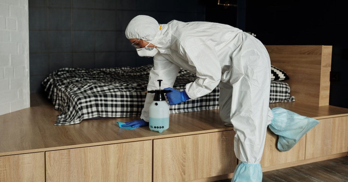 bed bug pest control dallas