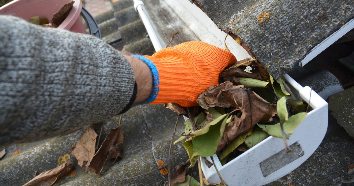 Best Gutter Cleaning Companies Dallas Texas Protecting Your Home From