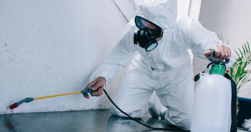 Cheap Pest Control Dallas TX: How to Keep Your Home and Business Pest-Free 9 cheap pest control dallas tx