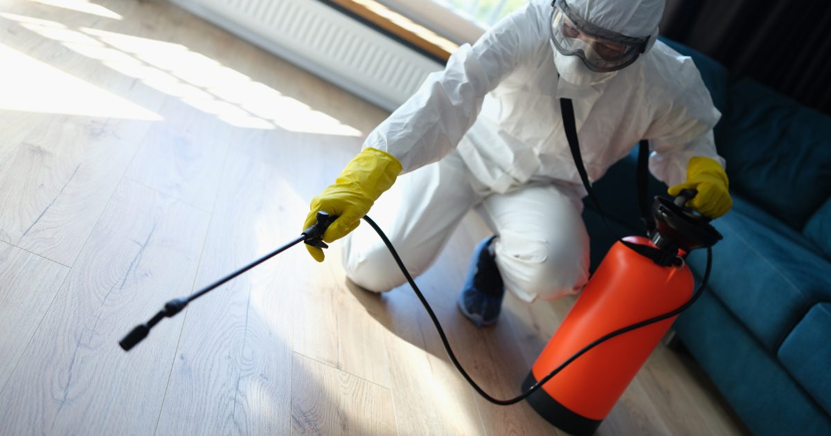 Dallas Area Bug and Pest Control: The Ultimate Guide to Pest Control 1 dallas area bug and pest control