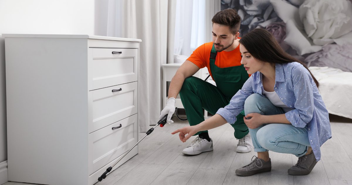 Dallas Home Pest Control Solutions: A Comprehensive Guide 1 dallas home pest control