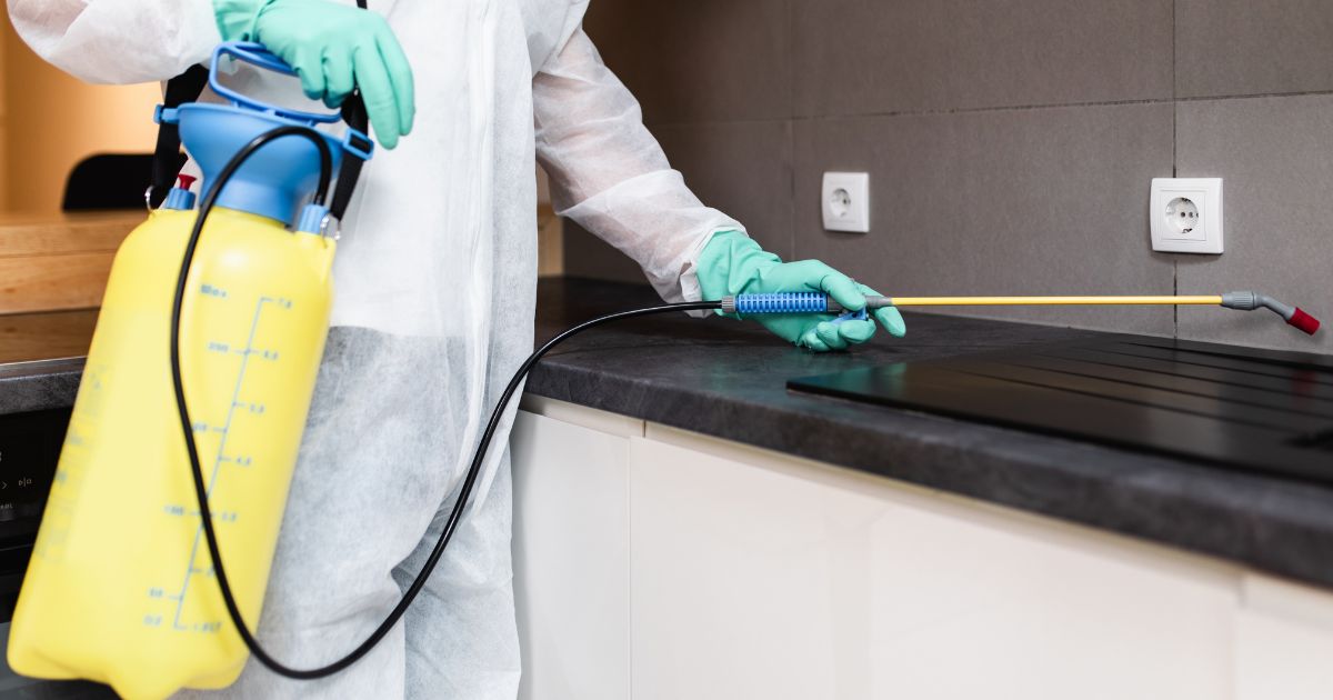 Dallas Pest Control Company: A Comprehensive Guide 1 dallas pest control company