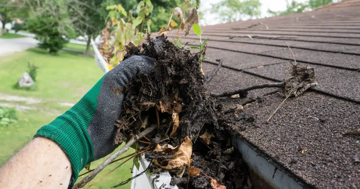 Exploring Dallas Texas Gutter Cleaning Rates 1 dallas texas gutter cleaning rates