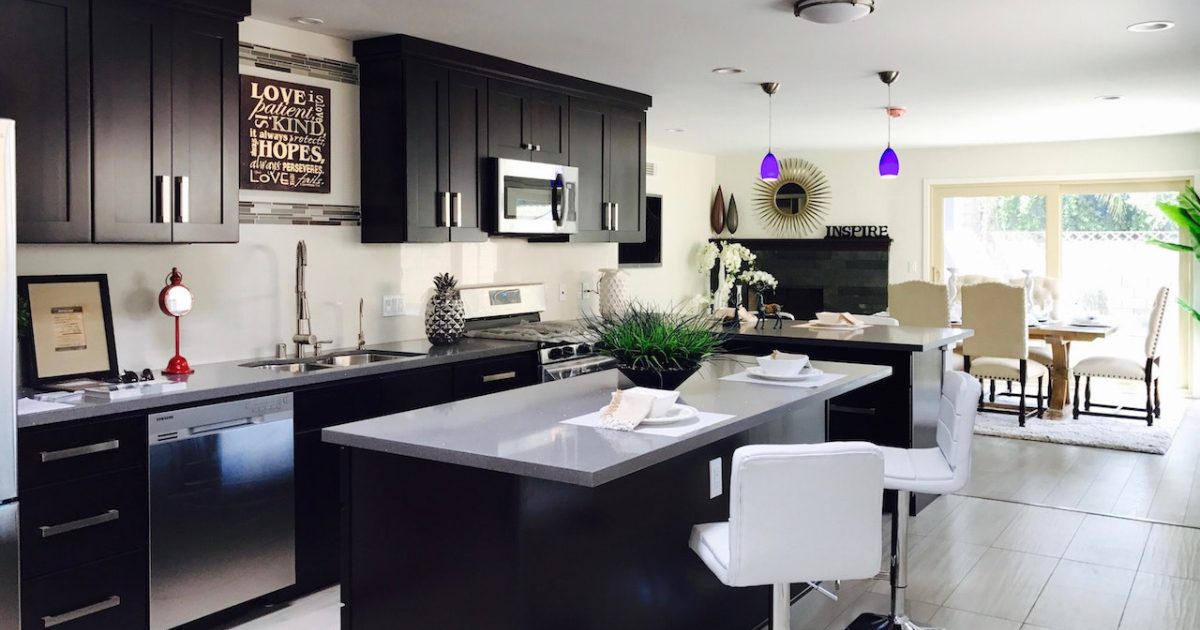 flea infestation pest control dallas