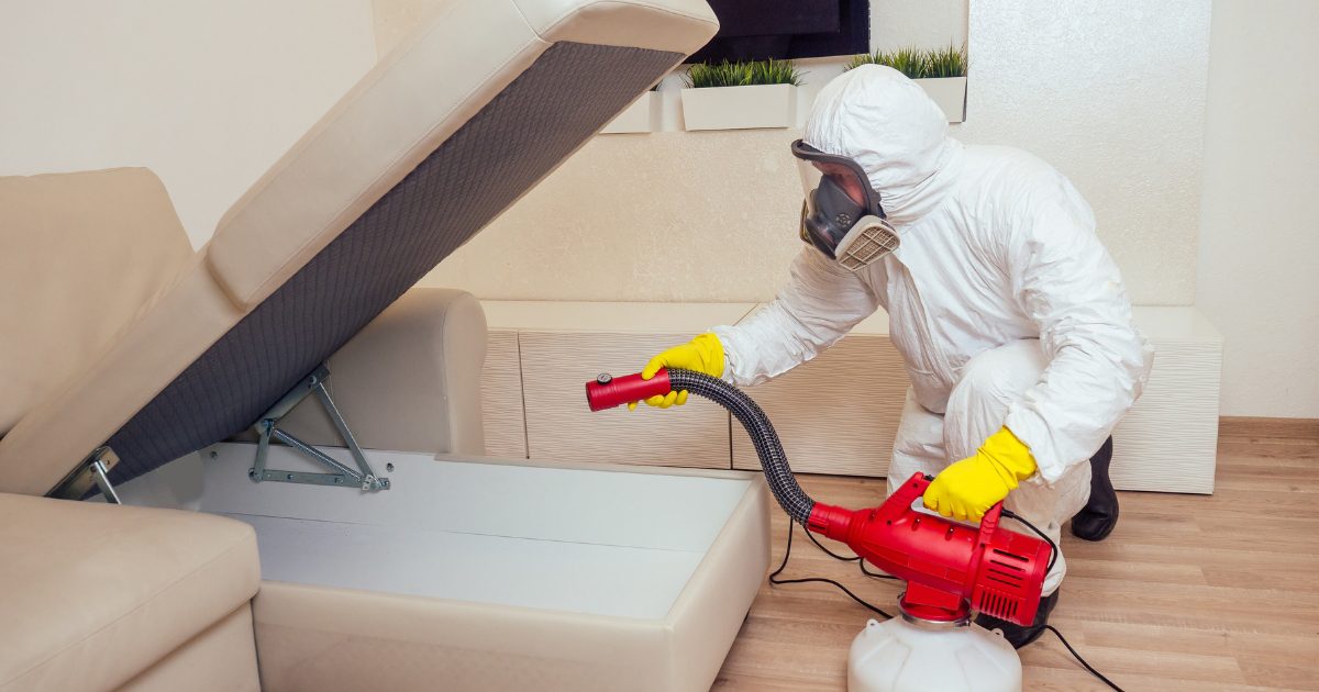 General Pest Control Dallas TX Keeping Your Home And Property Safe