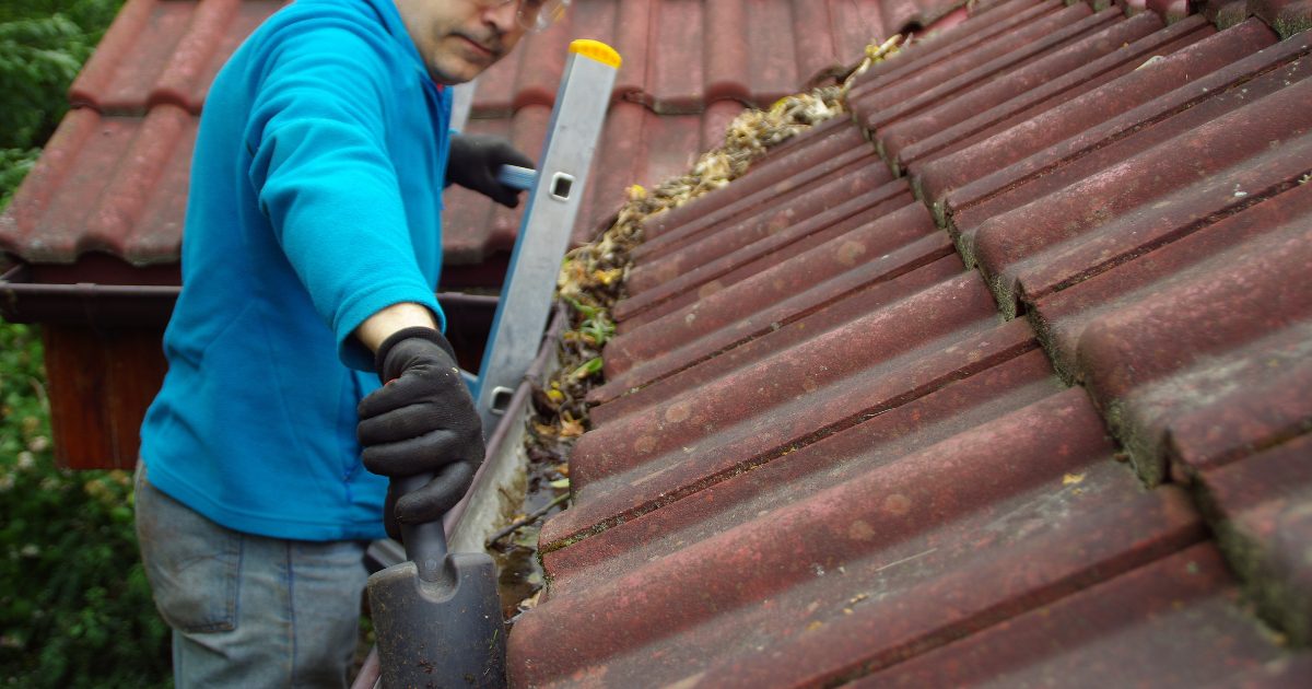 Gutter Cleaning Dallas TX Keeping Your Dallas Home Safe And Beautiful