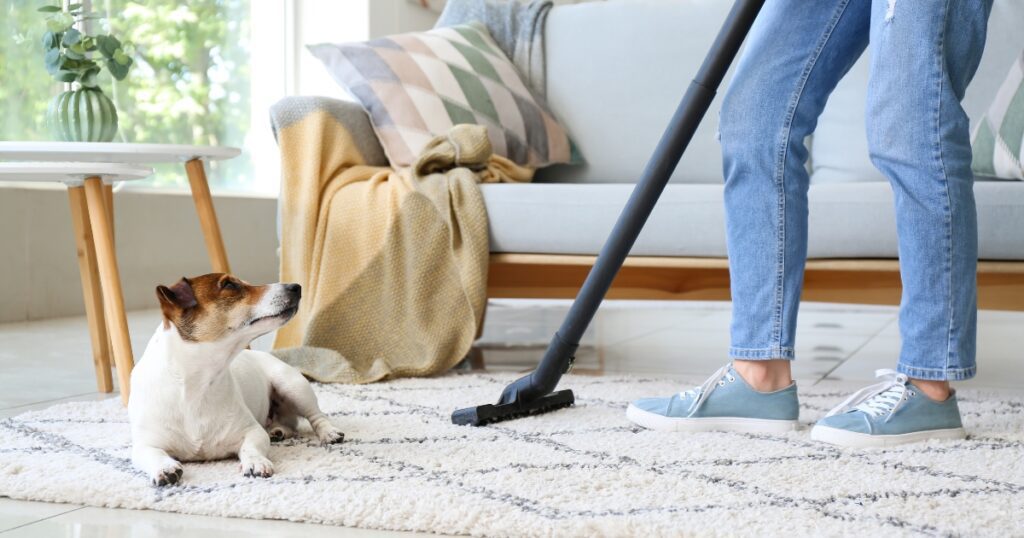how often to clean carpet