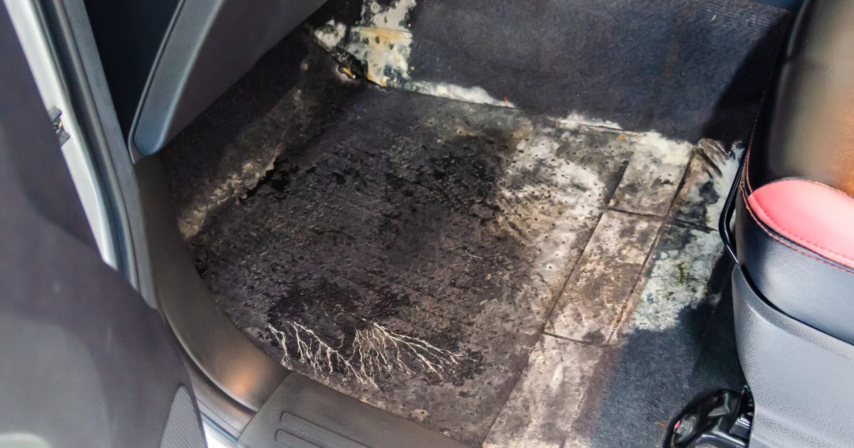 clean mold in car carpet