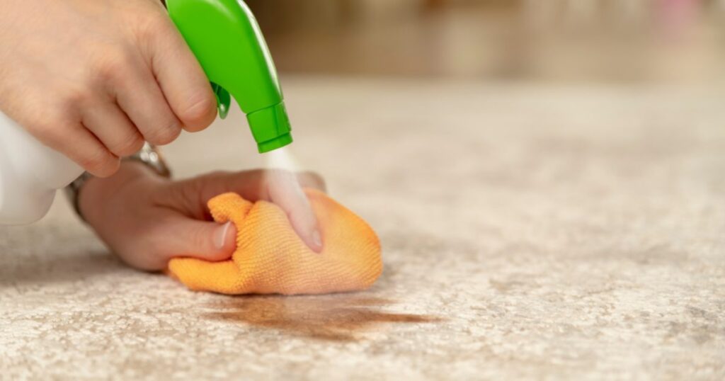 A Comprehensive Guide on How to Get Tough Pet Stains Out of Carpet 9 how to get tough pet stains out of carpet