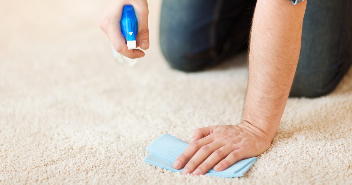 How to Remove Tough Stains From Carpet: From Wine to Wax, We've Got You Covered 2 how to remove tough stains from carpet