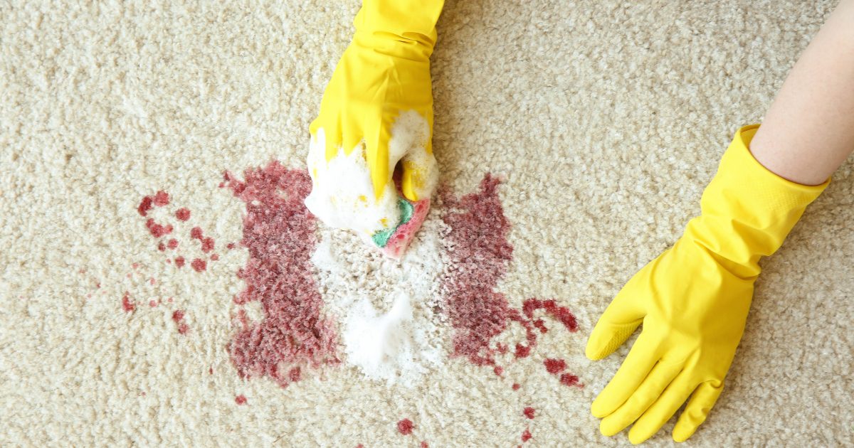 How to Remove Tough Stains From Carpet: From Wine to Wax, We've Got You Covered 1 how to remove tough stains from carpet