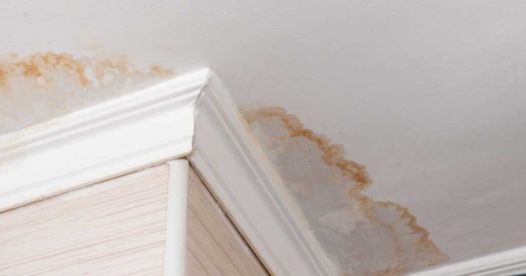 how to repair wet drywall