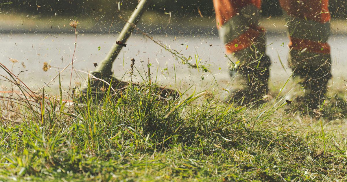 Ultimate Guide to Lawn Care Dallas Fort Worth 1 lawn care dallas fort worth