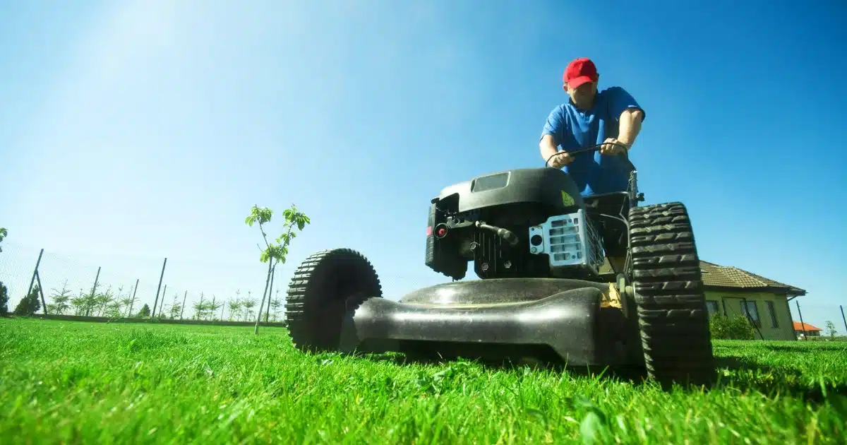 Lawn Care Schedule Dallas Texas: Achieving a Lush and Healthy Lawn All Year Round 1 lawn care schedule dallas texas
