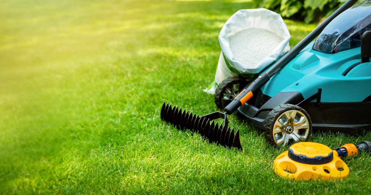 lawn care services lake dallas tx