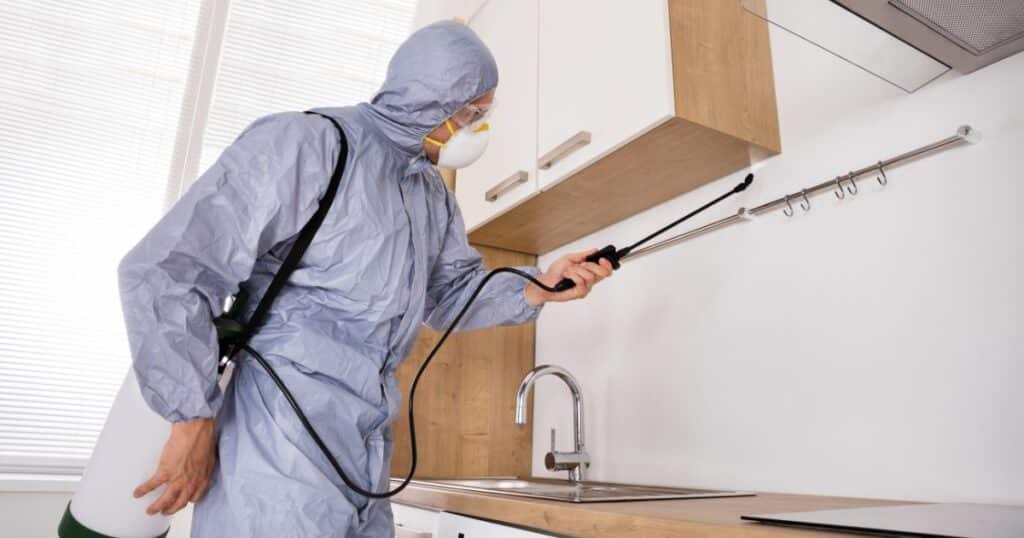 Going Green: Natural Pest Control Dallas Methods 8 natural pest control dallas