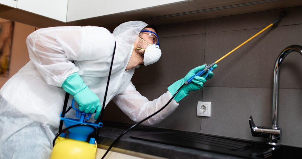 Pest Control Companies in Dallas Texas 4 pest control companies in dallas texas