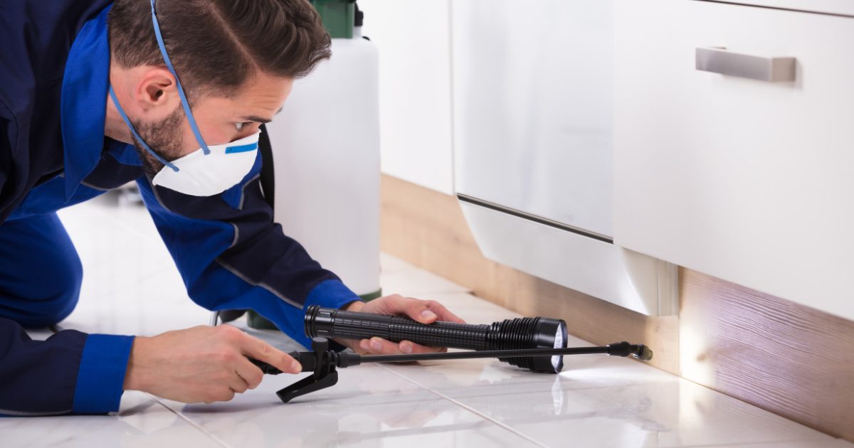 Pest Control Contractors Dallas: Protecting Your Home from Pests 1 pest control contractors dallas