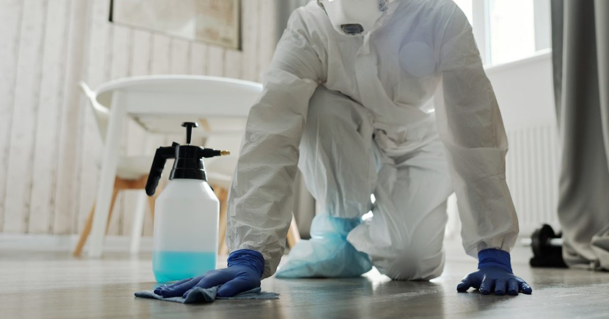 Rat Pest Control Dallas TX: The Importance of Rat Pest Control 1 rat pest control dallas tx