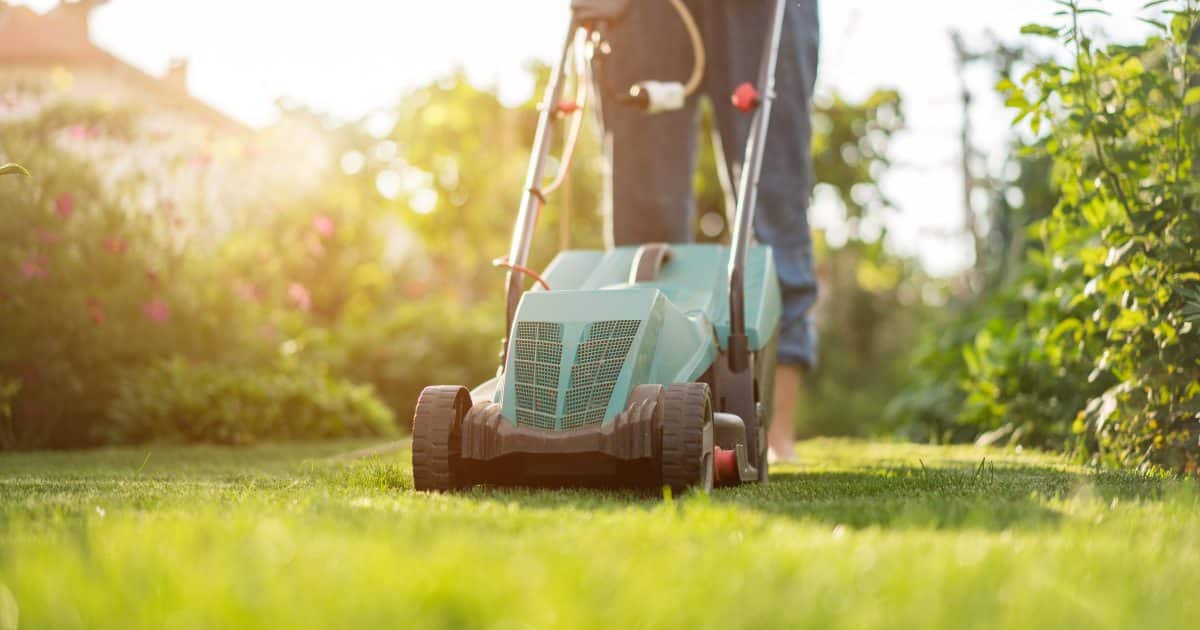 Residential Lawn Care Dallas TX: A Complete Guide for Homeowners 1 residential lawn care dallas tx