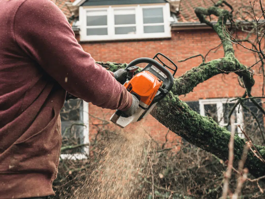 Residential Tree Service Dallas: The Benefits and Importance of Branching Out 1 residential tree service dallas