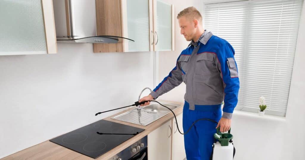 Safe Pest Control North Dallas TX: A Comprehensive Guide for a Healthy Home 2 safe pest control north dallas tx