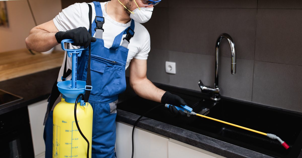 Safest Pest Control Dallas Texas: A Guide to Protecting Your Home and Environment 1 safest pest control dallas texas