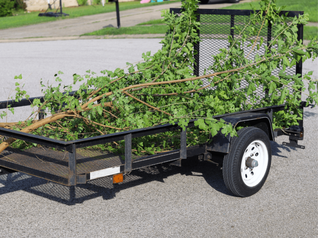 tree branch disposal service dallas