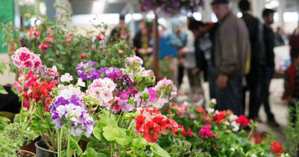 Dallas Area Landscaper Show: What You Should Know And Expect 2023 1 dallas area landscaper show