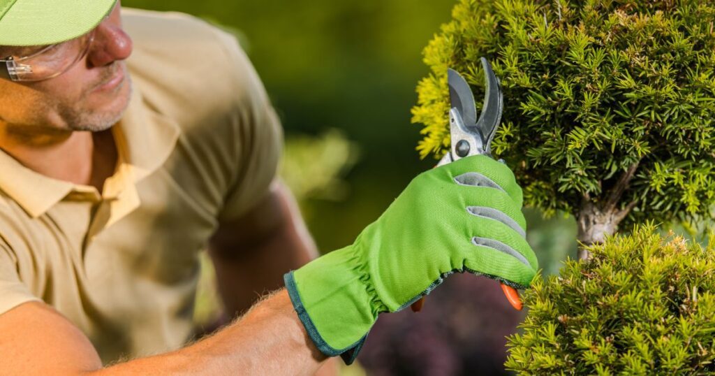 how much does a landscaper cost per hour