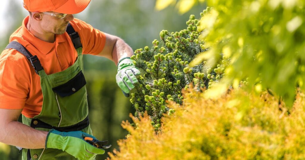 how much does a professional landscaper cost