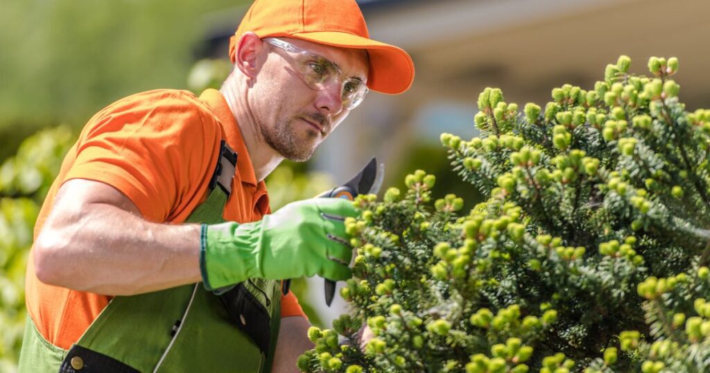 how much does it cost to hire a landscaper