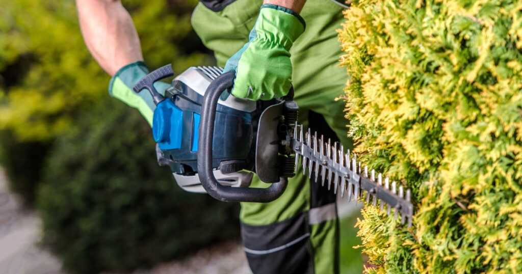 How Much Is A Landscaper: Outdoor Space Expert 2 how much is a landscaper