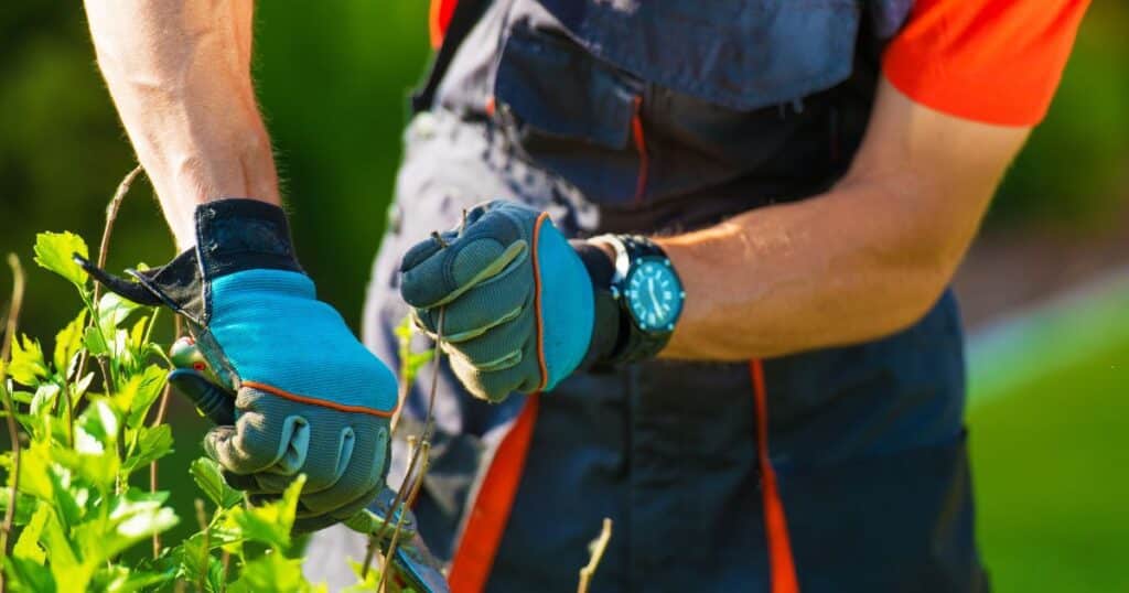 how much to hire a landscaper