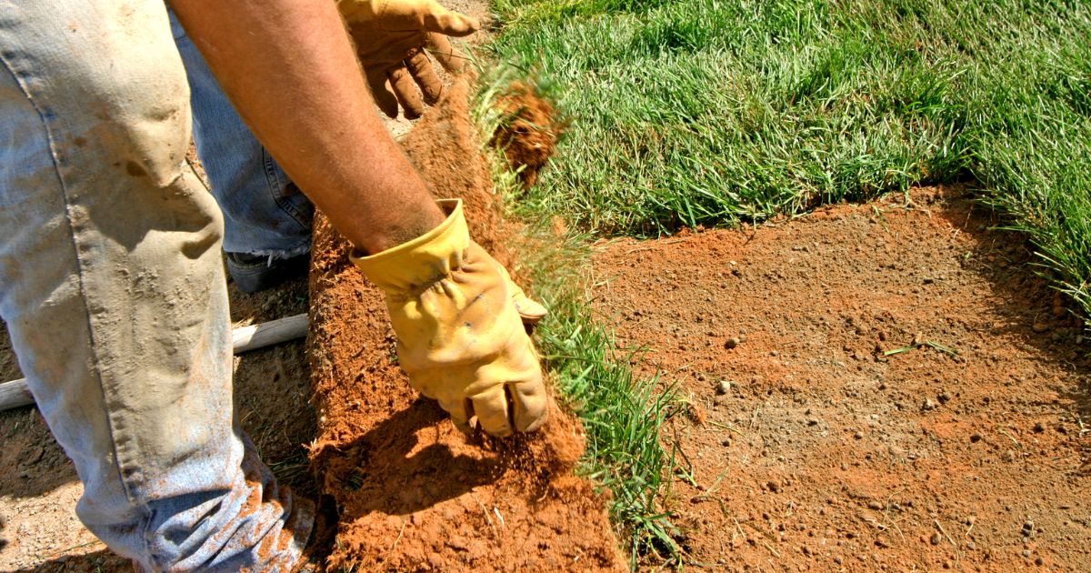How to Become a Landscaper? 1 how to become a landscaper