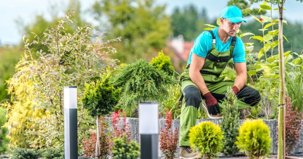 how to become a professional landscaper