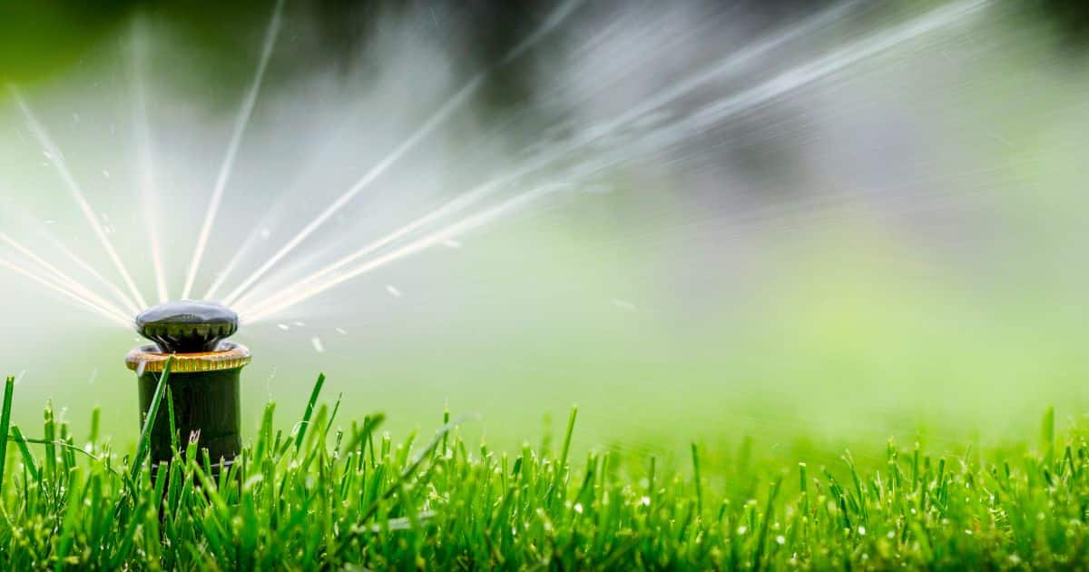 how to dewinterize sprinkler system