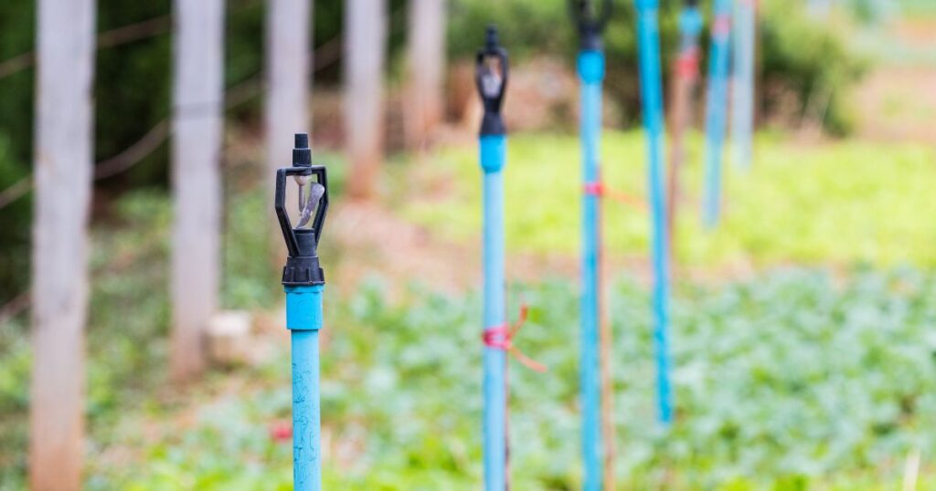 How To Find Sprinkler Heads For A Healthy Lawn