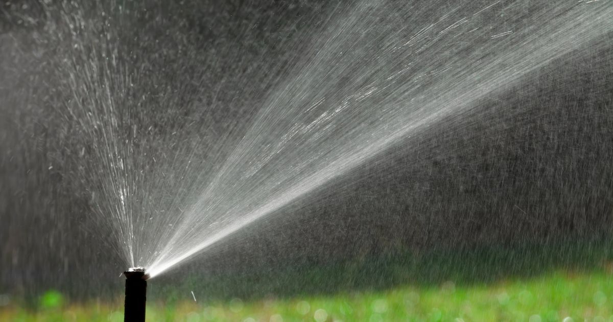 how to find sprinkler lines