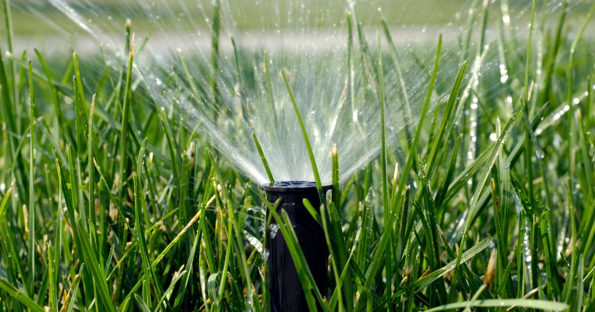 How to Raise Sprinkler Heads: Improving Watering Efficiency 1 how to raise sprinkler heads