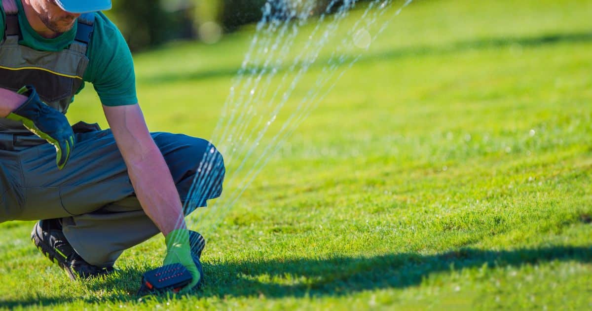 How To Split A Zone In An Existing Sprinkler System 2023 2 how to split a zone in an existing sprinkler system