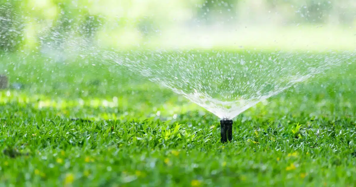 Fixing Water Pooling Around Sprinkler Head When Running 1 water pooling around sprinkler head when running