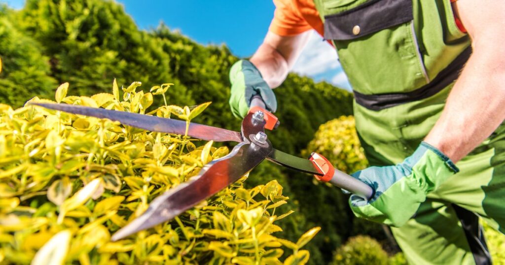 What is Landscaper? The Importance of Landscaping 3 what is landscaper