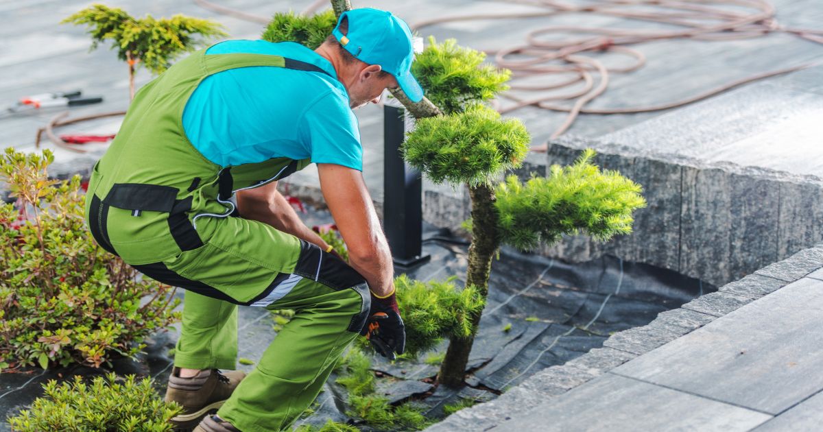 Lost In The Landscape: Why Can't I Find A Good Landscaper 1 why can't i find a good landscaper