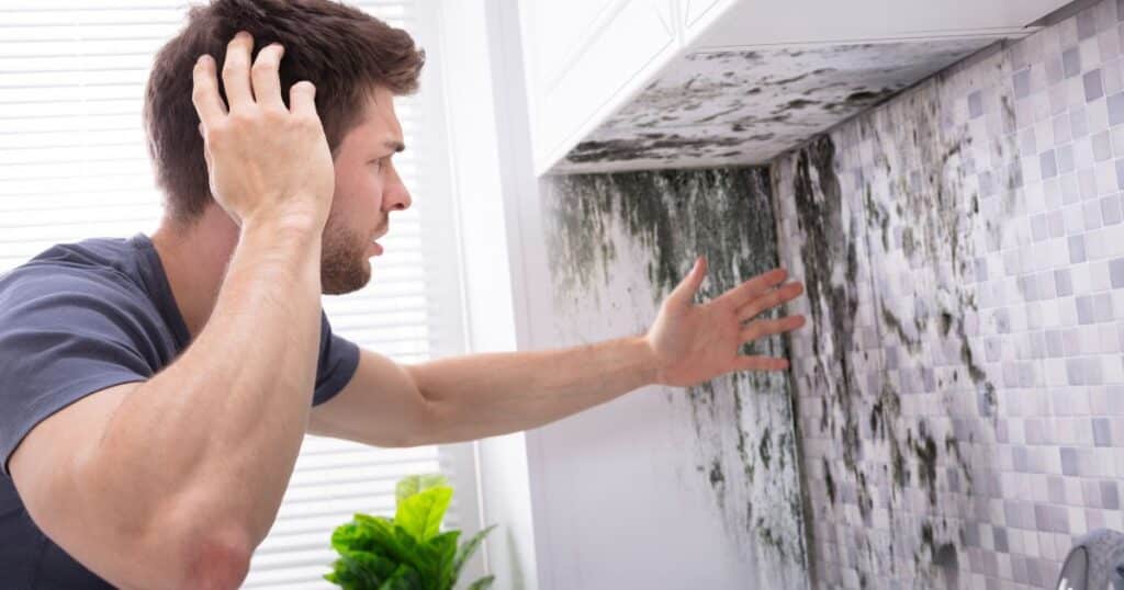 Difference Between Mold and Mildew: Unraveling the Key Differences 2 difference between mold and mildew