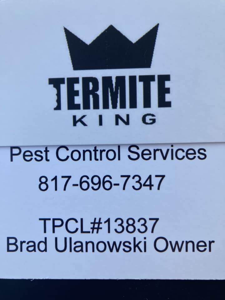 Termite King Review 1