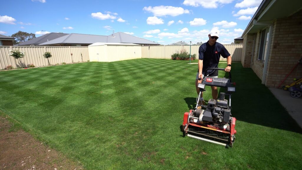 Top Companies Offering Reel Mowing Services in Dallas-Fort Worth